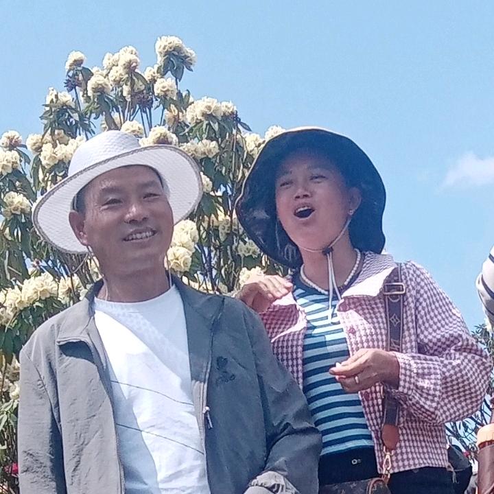 真诚
