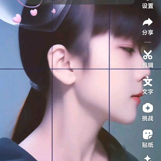 照能张毕氏