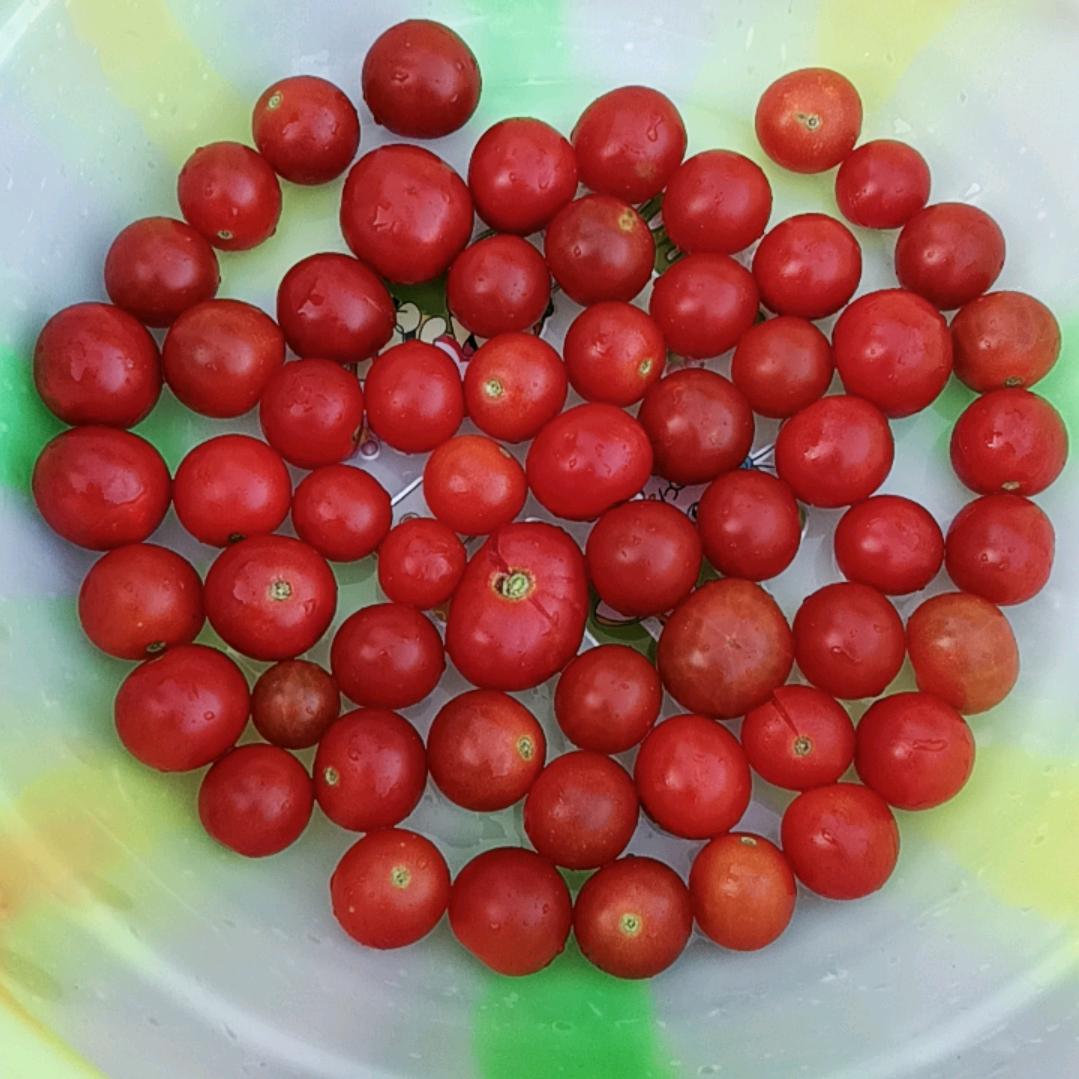 心好累