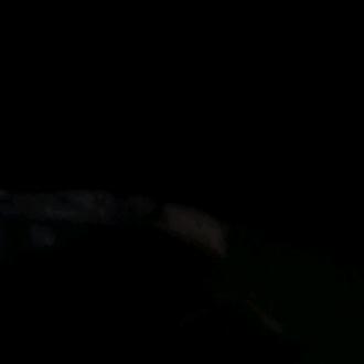 只是童话