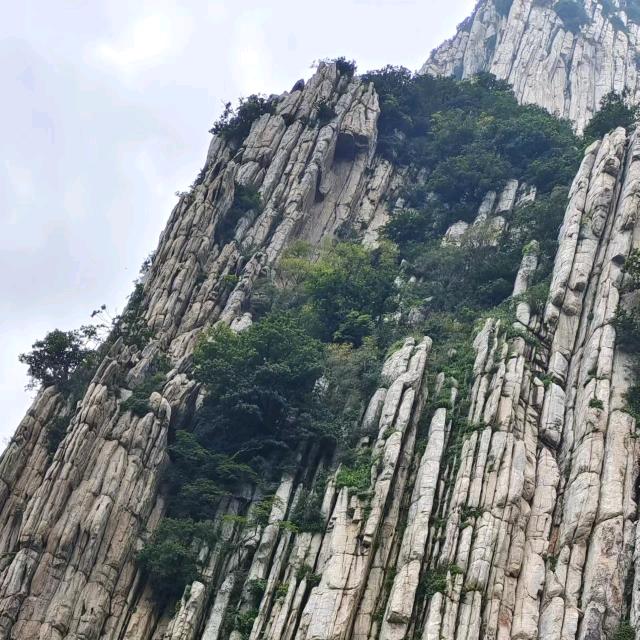 且听风吟!