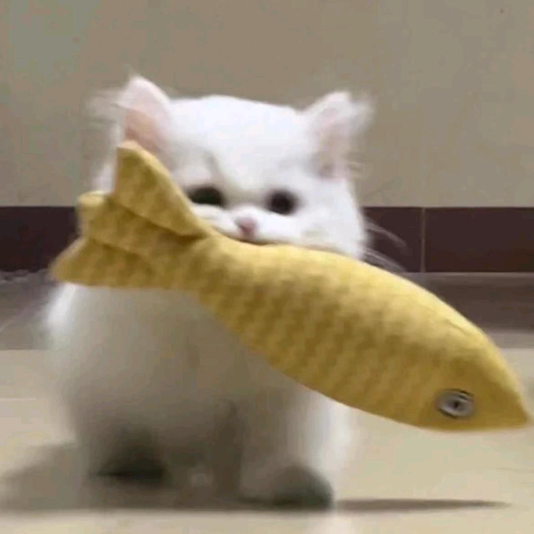 小鱼快快跑