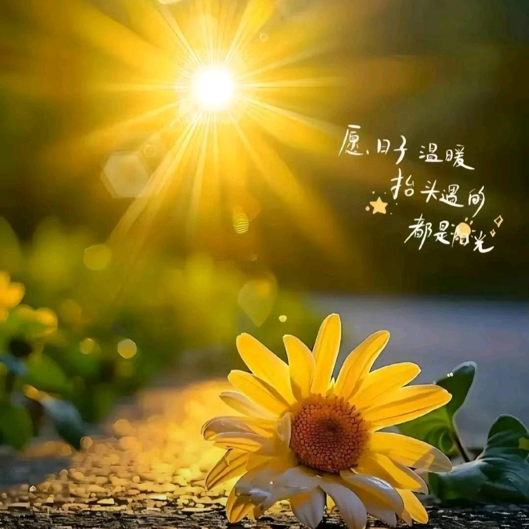六月☀️