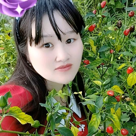 贵州幺妹