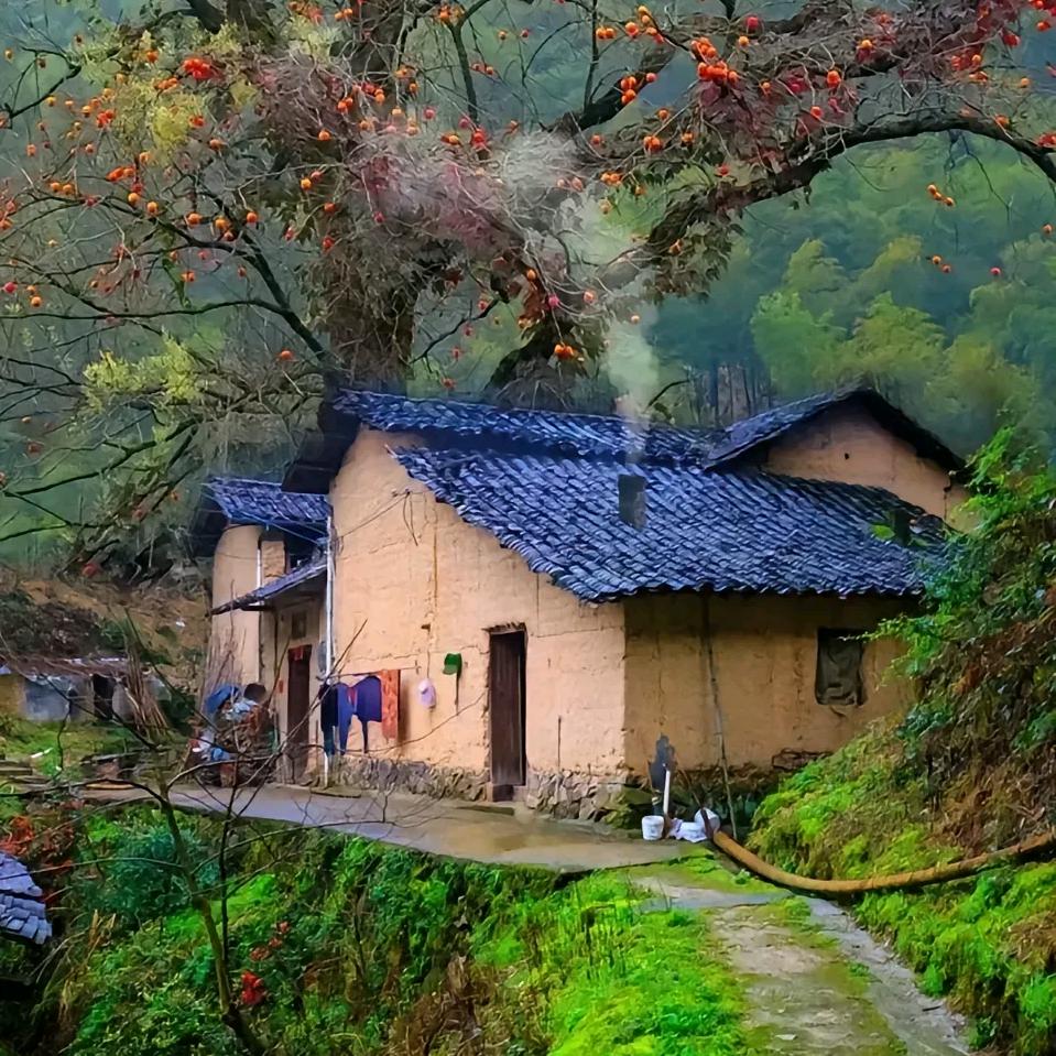 随缘的旅行