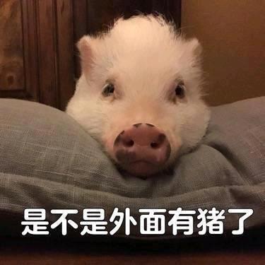 💘語濄💕添情💘