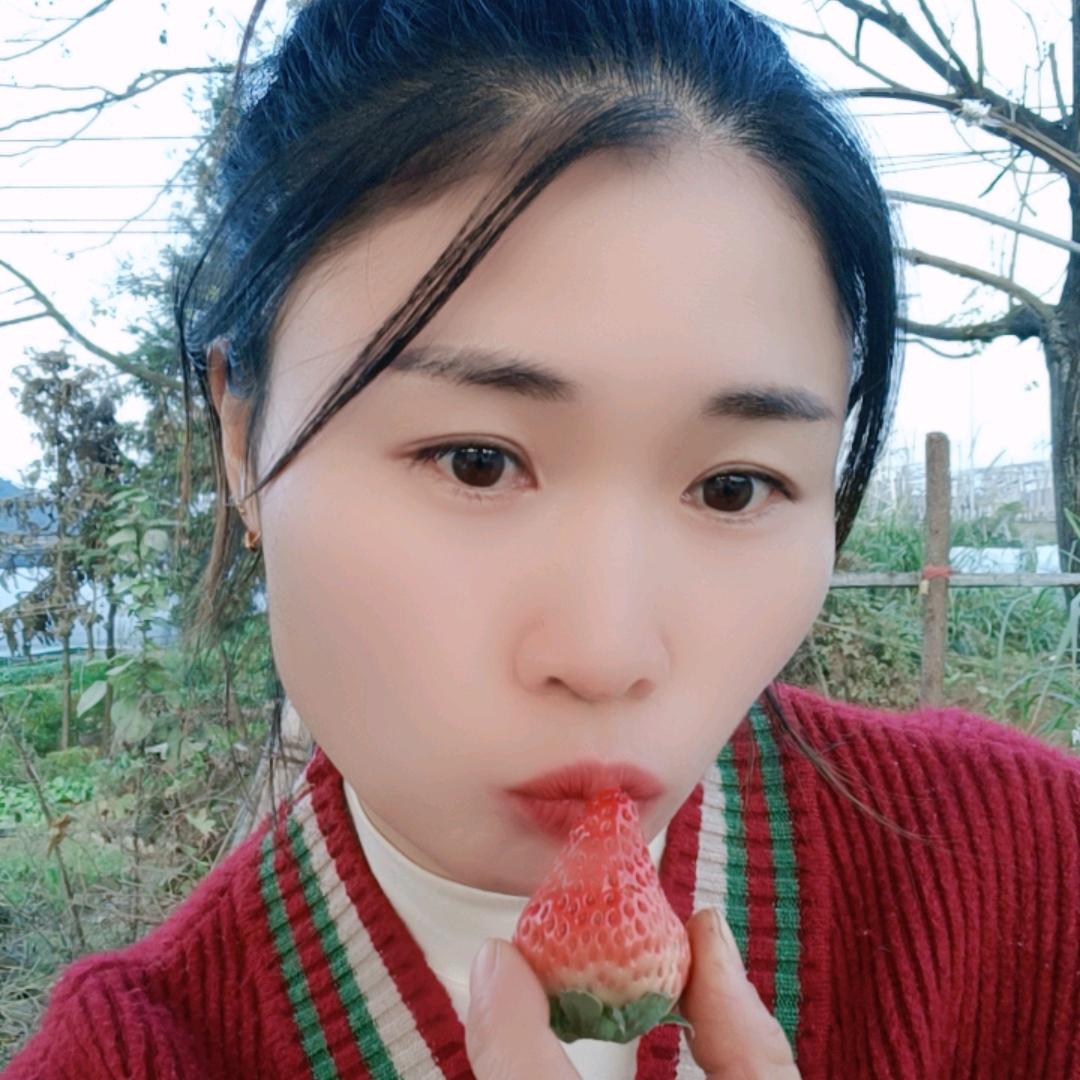 草莓酱(大台村草莓园)