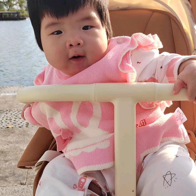 辉黄楊帆