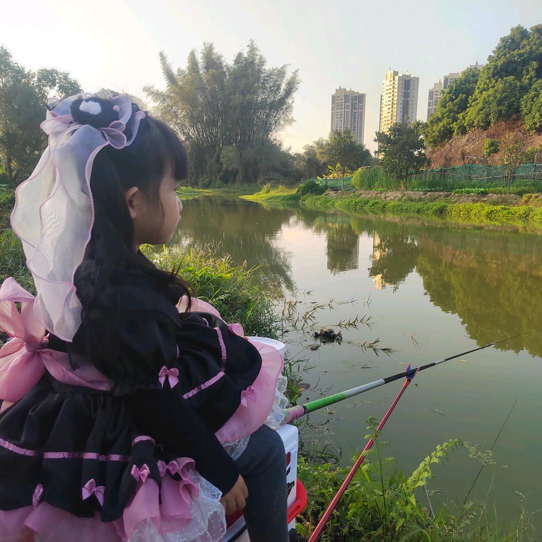 斑歌