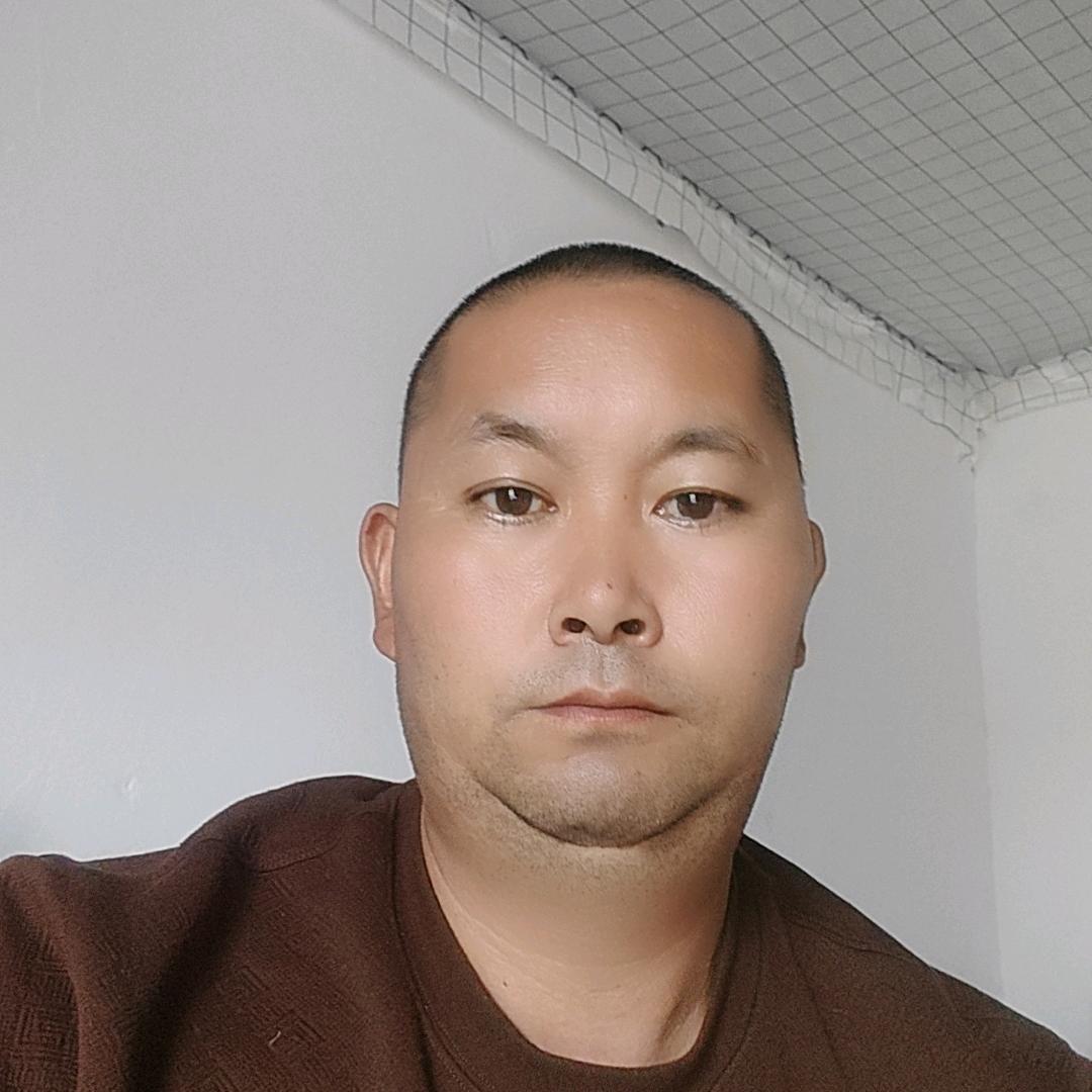 专业收购宰牛合养牛