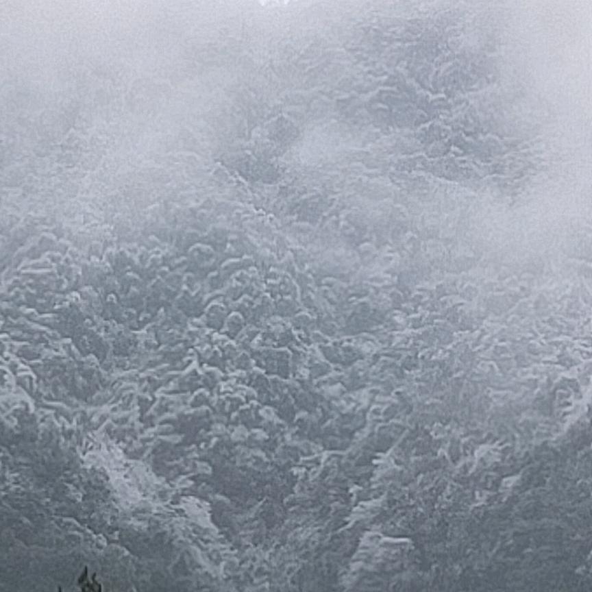 冰冷的雪