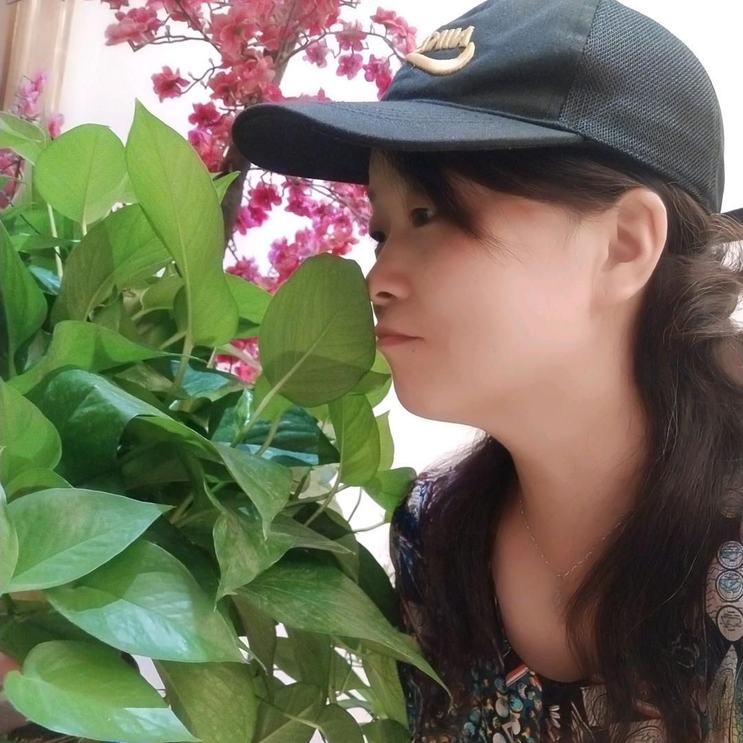 宏顺房产林