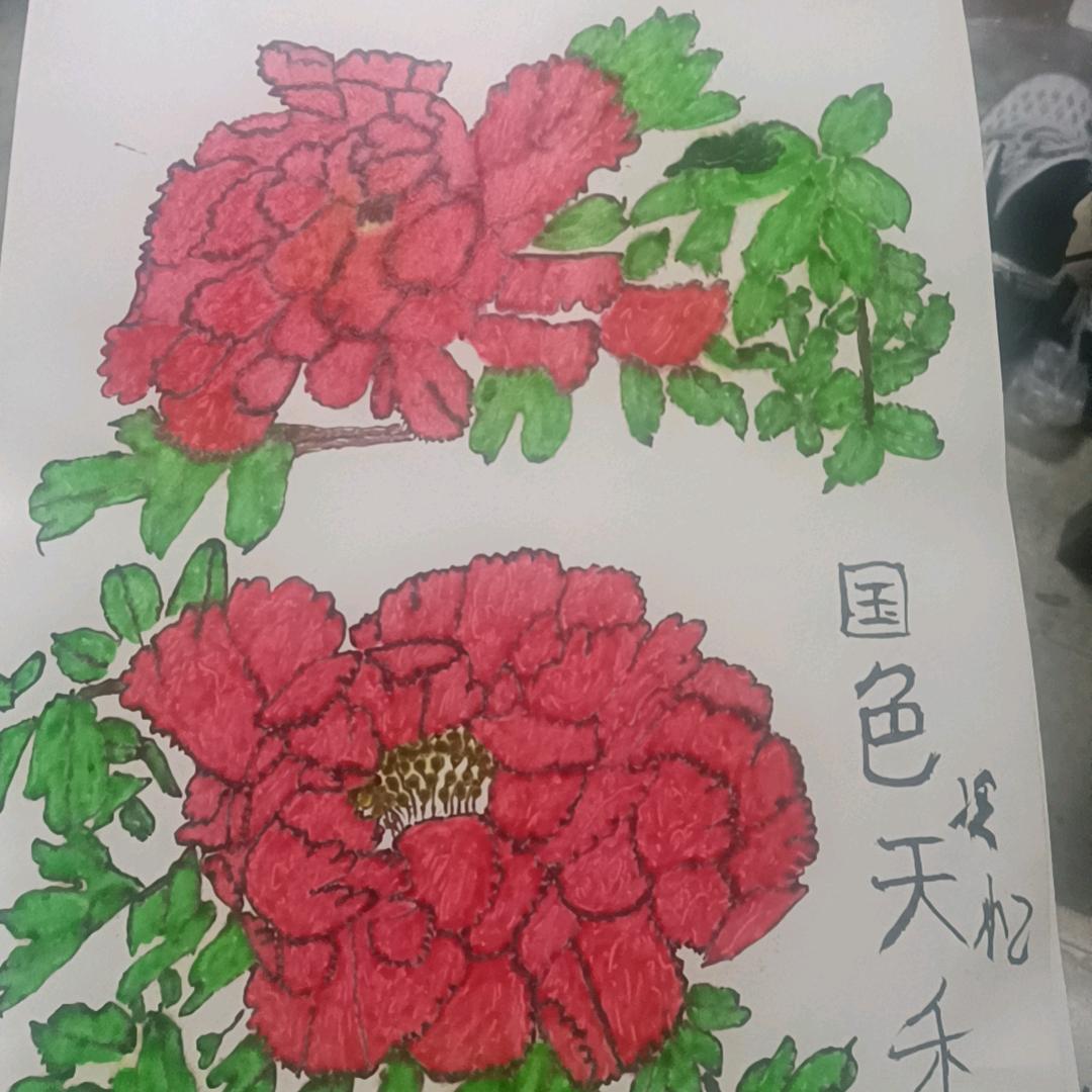 ￡凌风★缀月彡果酱画