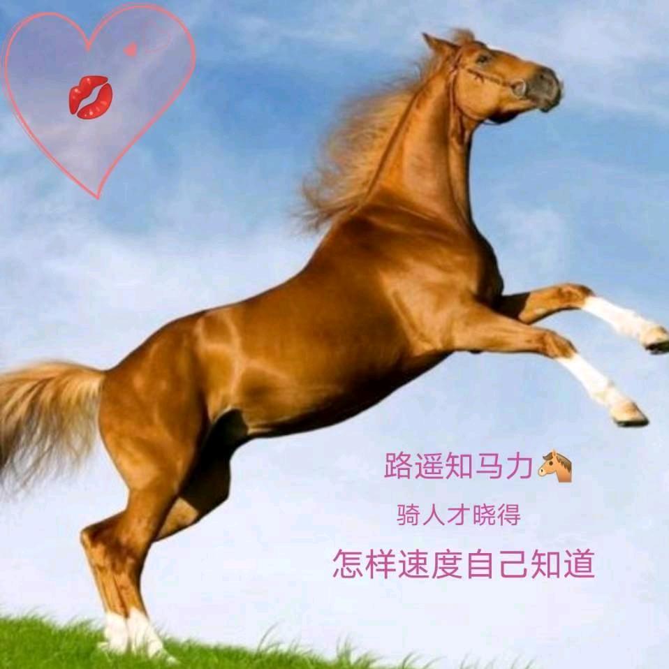 阜宁扬集…徐小娟🌹（单）