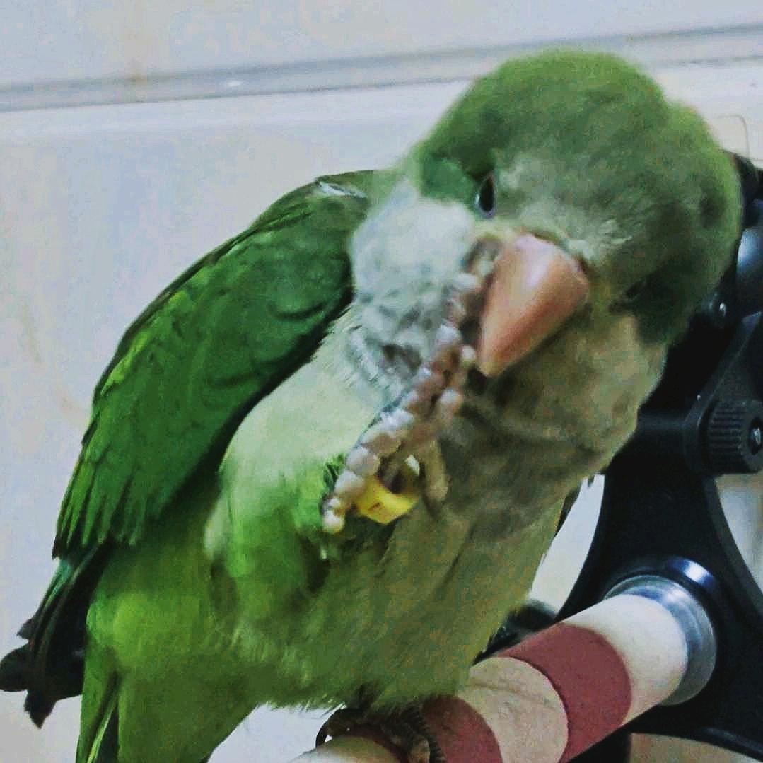 萌宠怪可爱