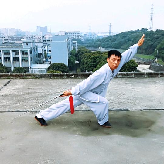 养生派