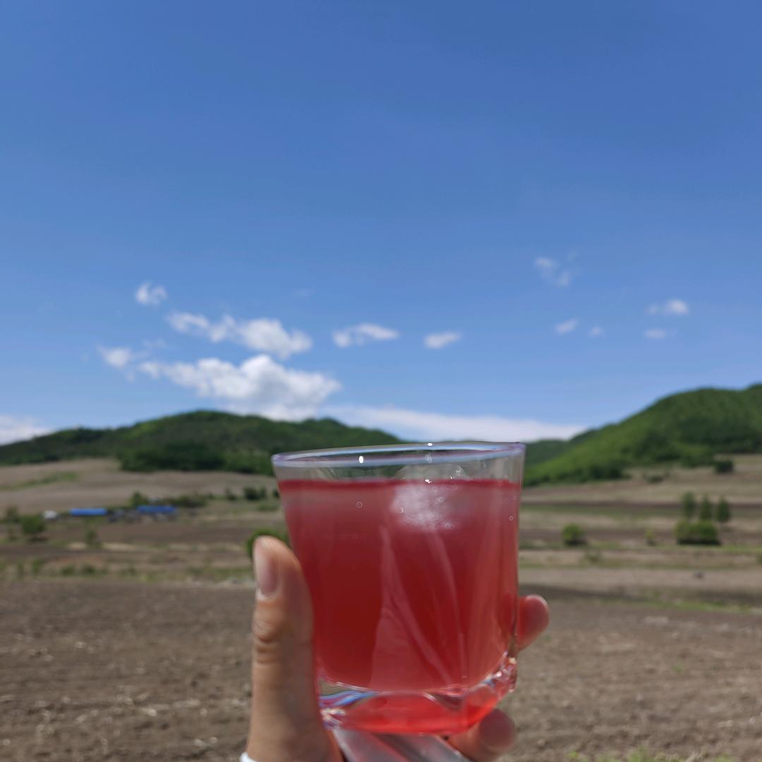 野生五味子