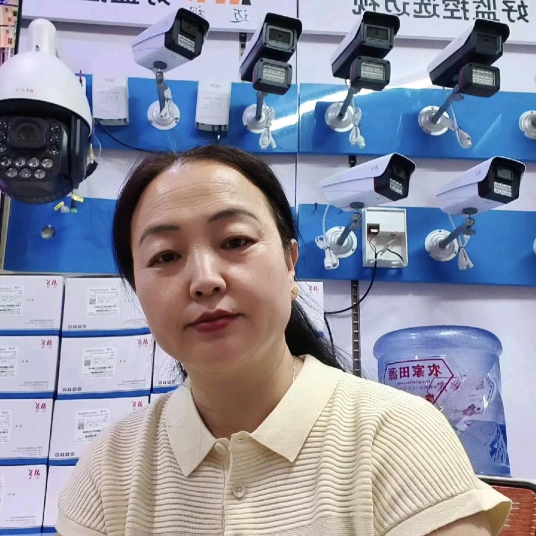 保定：远大安防