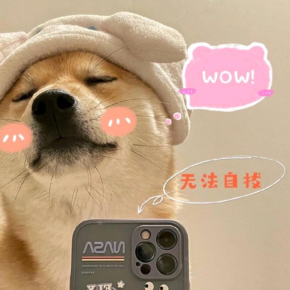 阮芯冉
