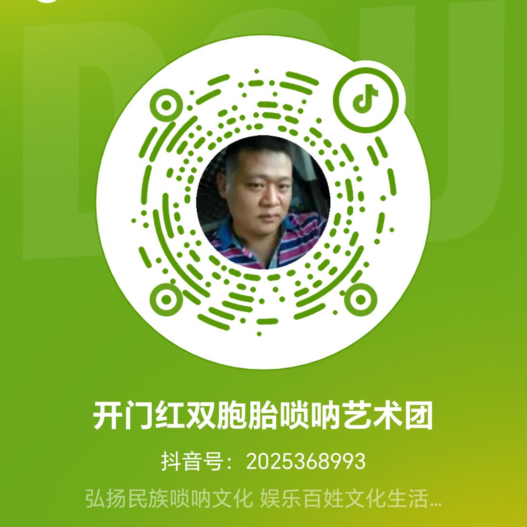 开门红双胞胎唢呐艺术团