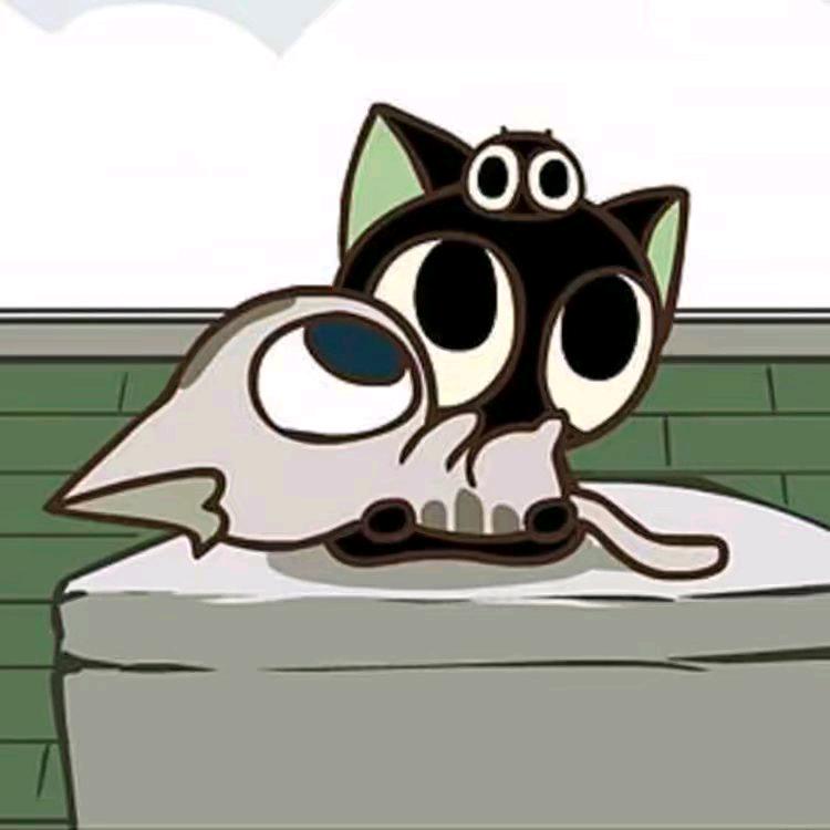 猫猫哒