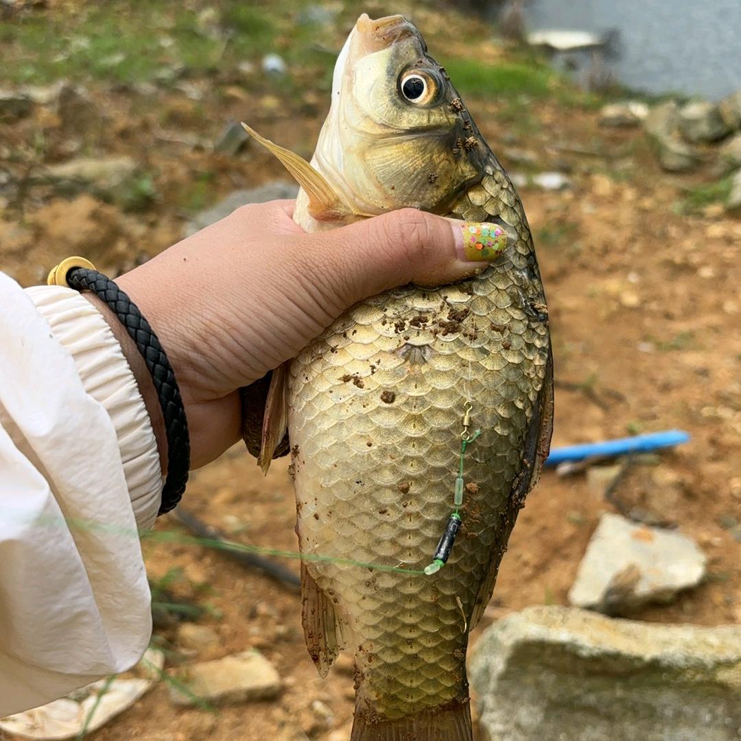 婷婷爱钓鱼