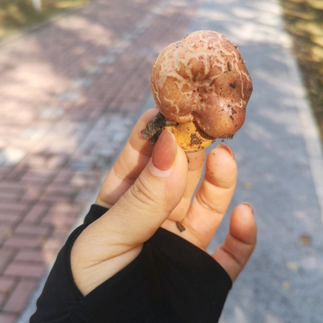 爱🏃‍♀️麦子