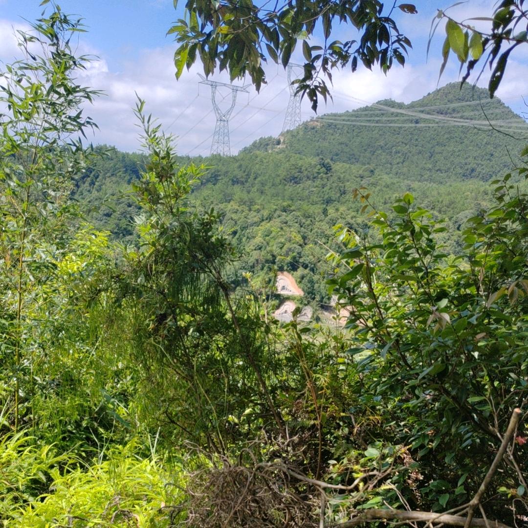 清酒醉人间