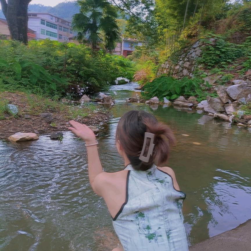 钱兔似锦