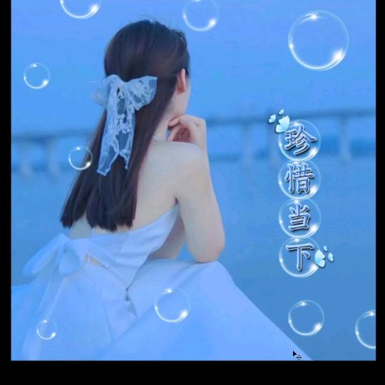 冬寒一只梅