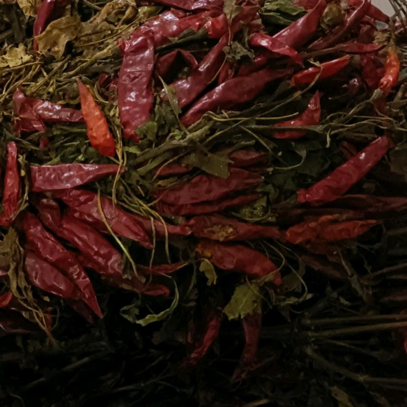 小歌