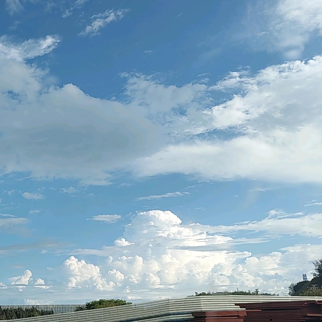 沧海一栗
