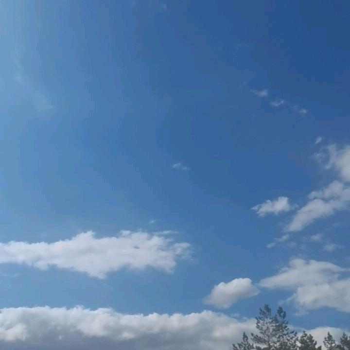 贼稀罕你