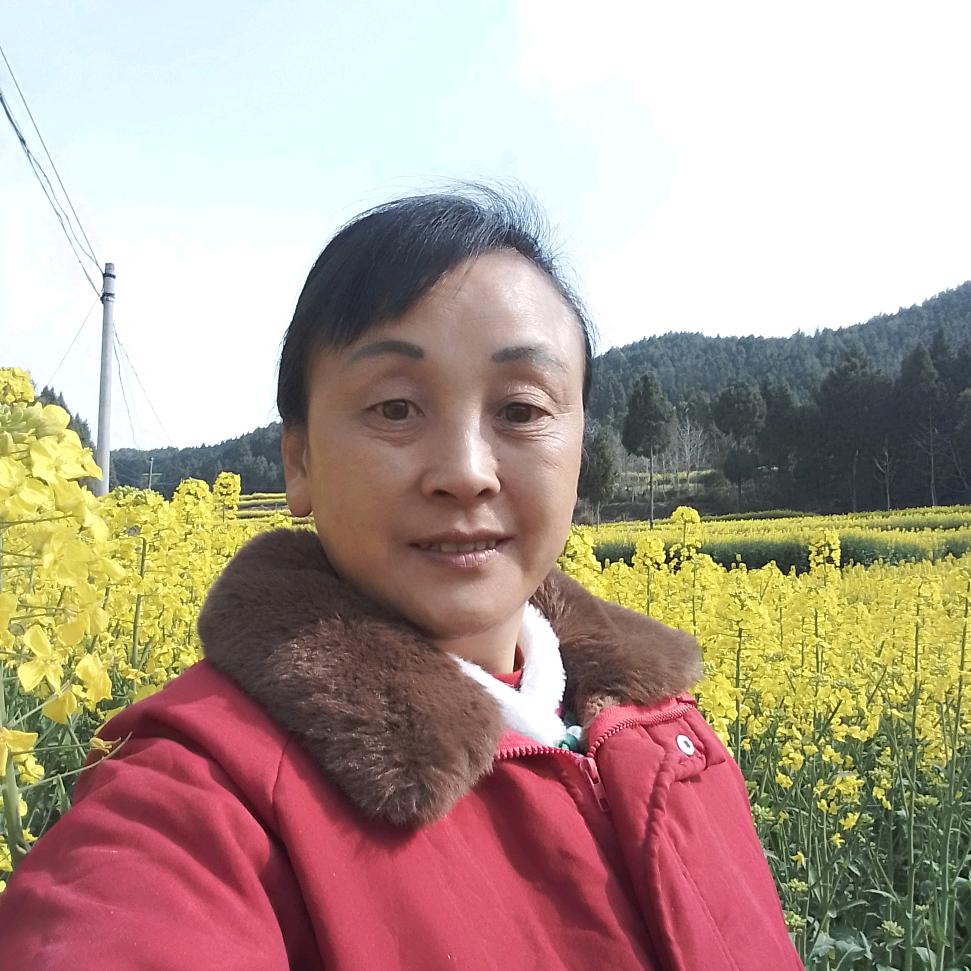 杨姐