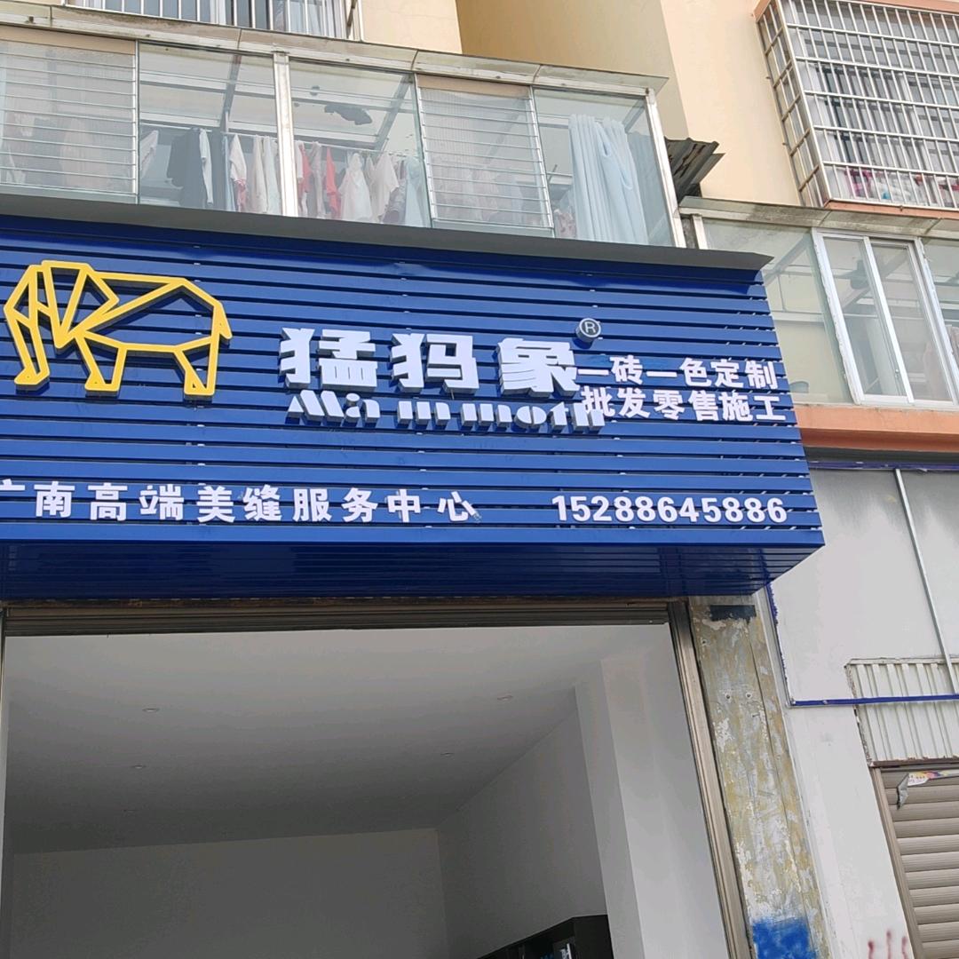 广南猛犸象高端美缝服务中心