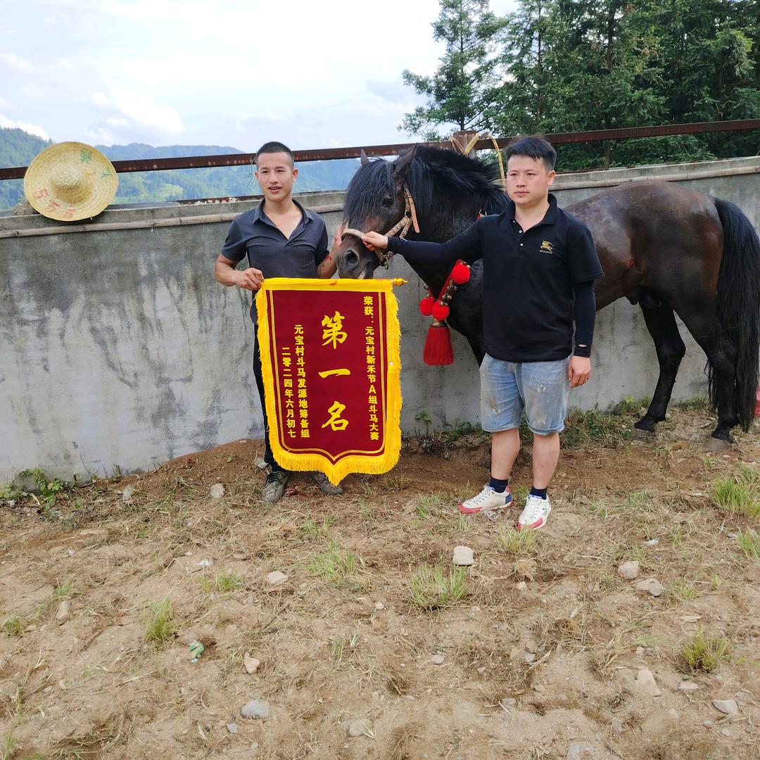 元宝山斗马发源地