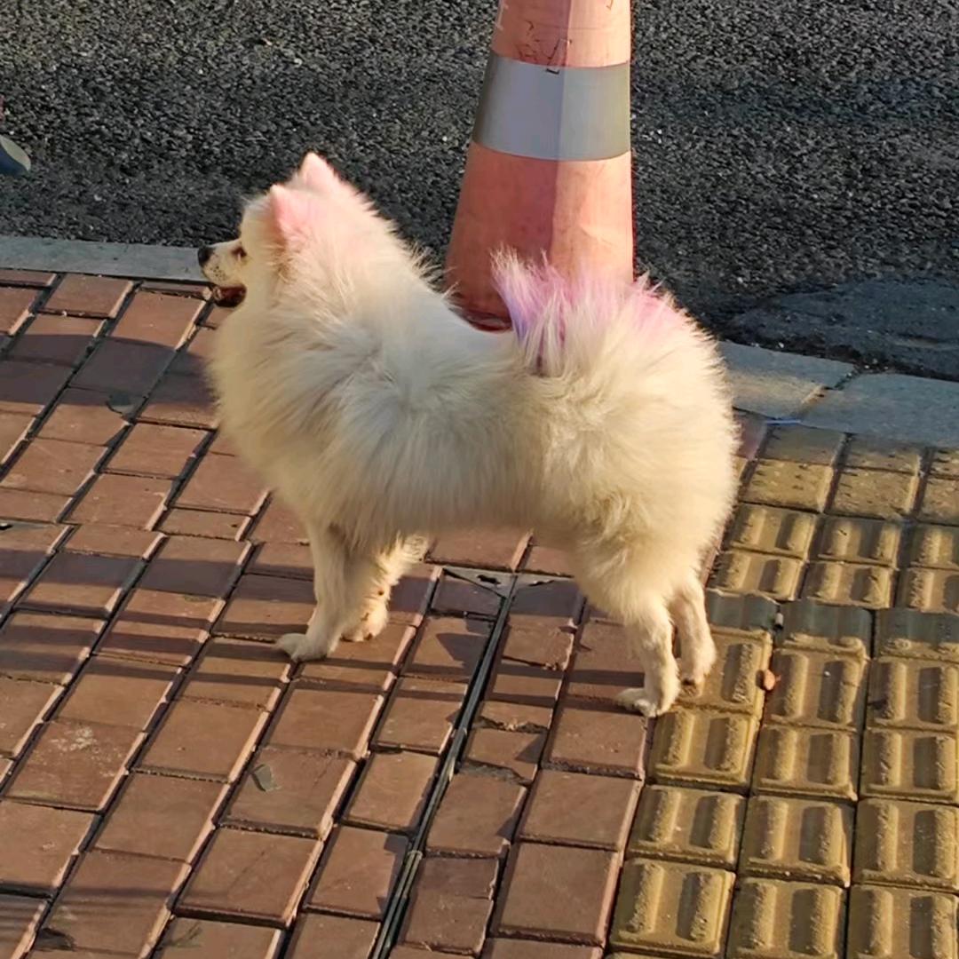 AAA建材陈哥