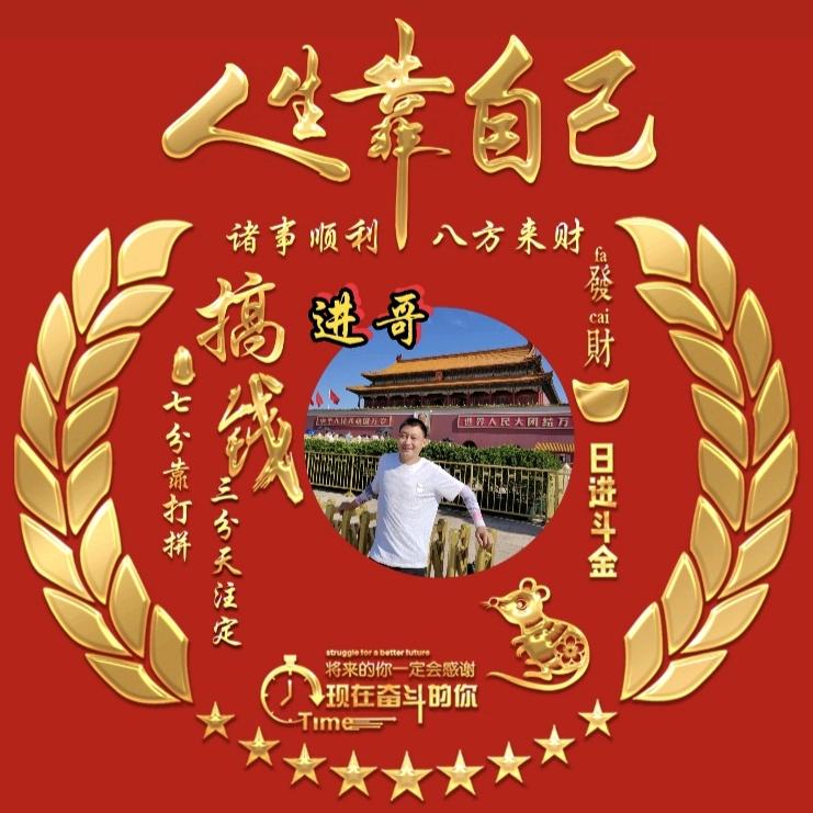 进哥