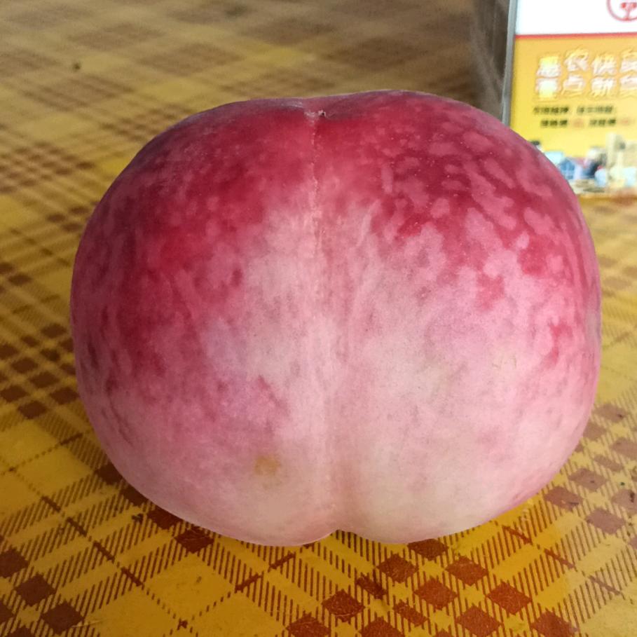 万花丛中一点红