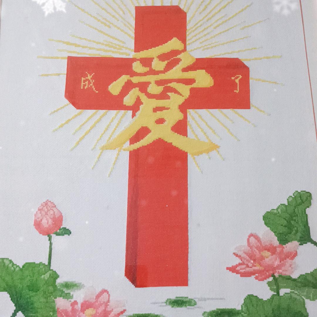 美丽的家