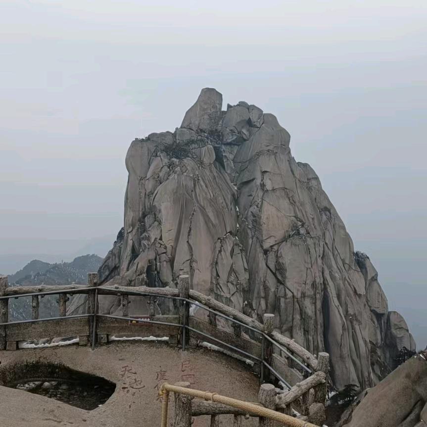 惟肖