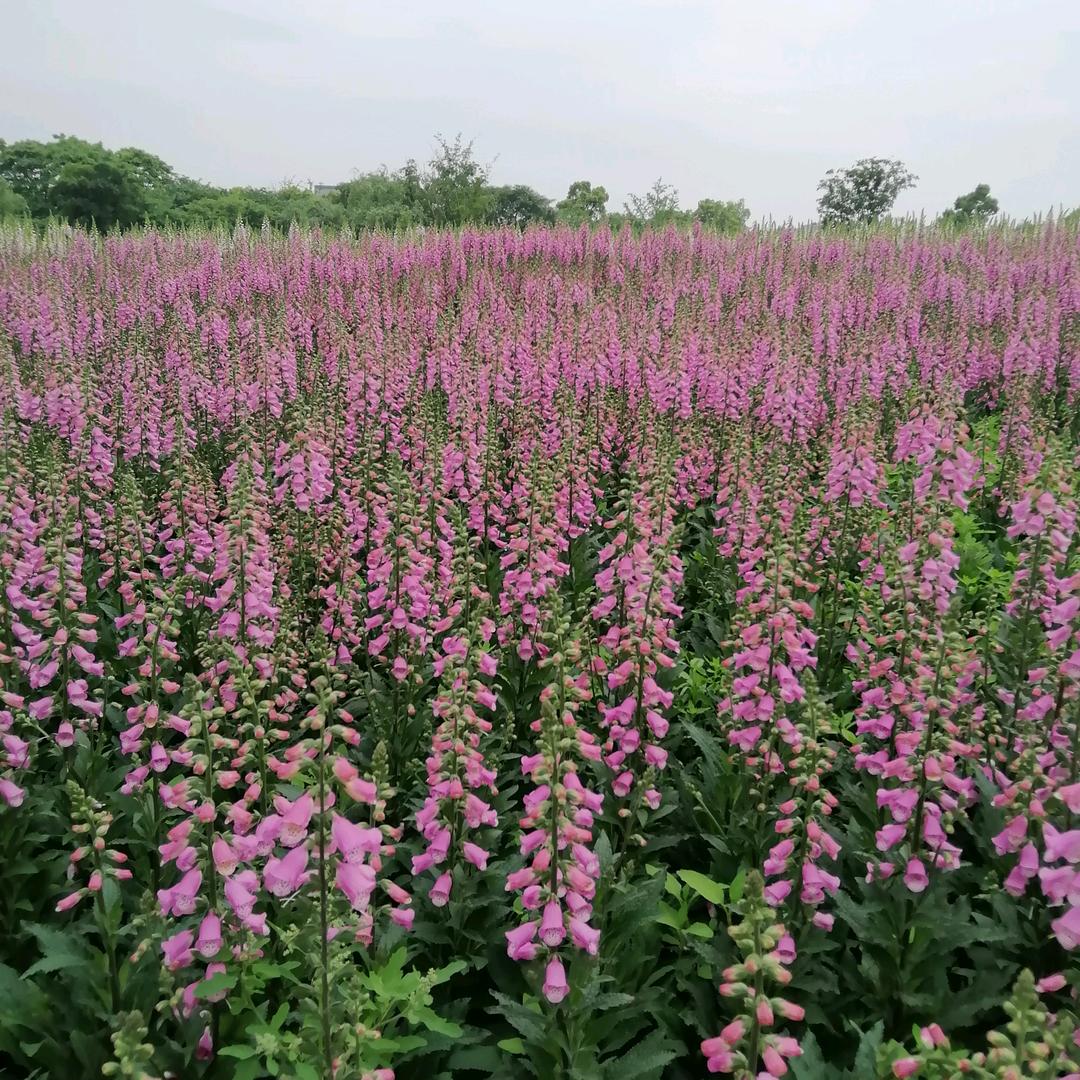 蒙恩