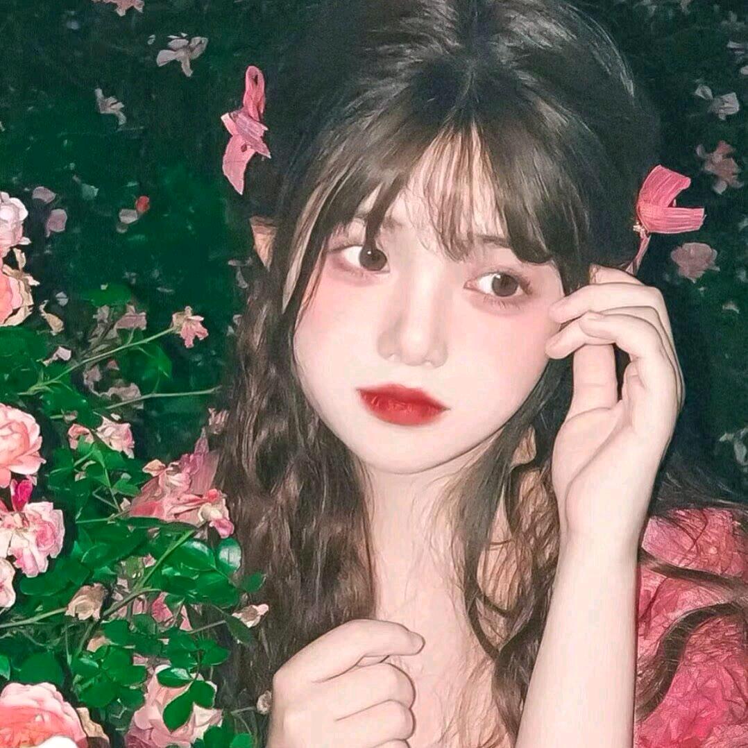 清欢✨（需要窗帘🔗的👀我简介）