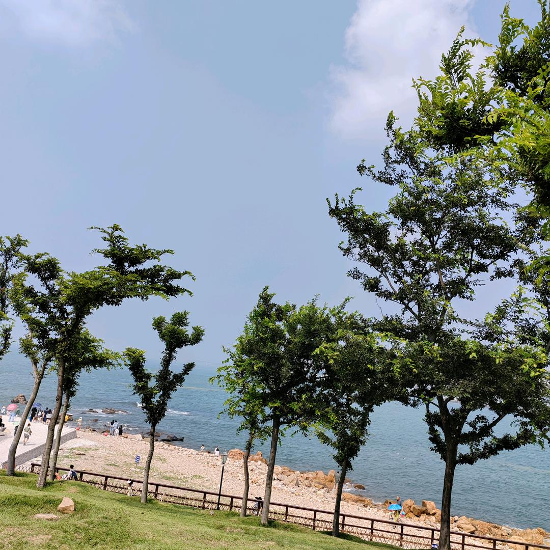 刘小迪