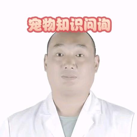 兽医张哥动物萌宠用品（专注宠物猫狗问题）