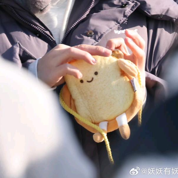 萨摩耶