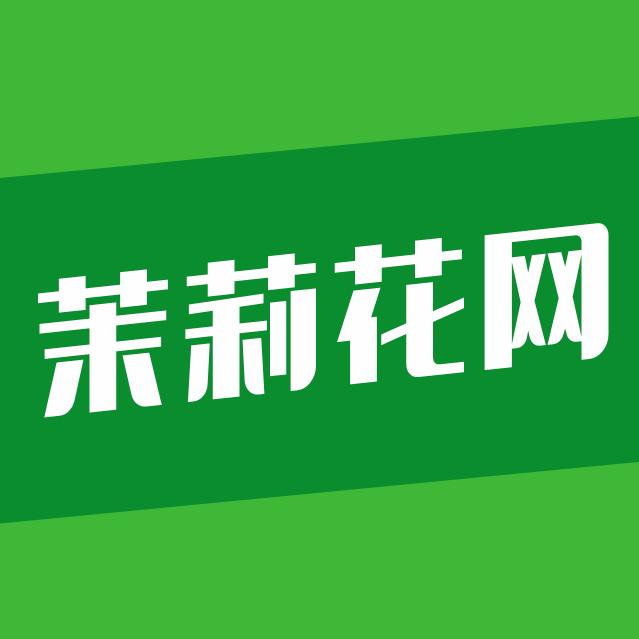 横州茉莉花网