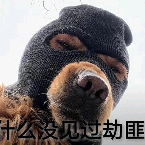 狗沉香