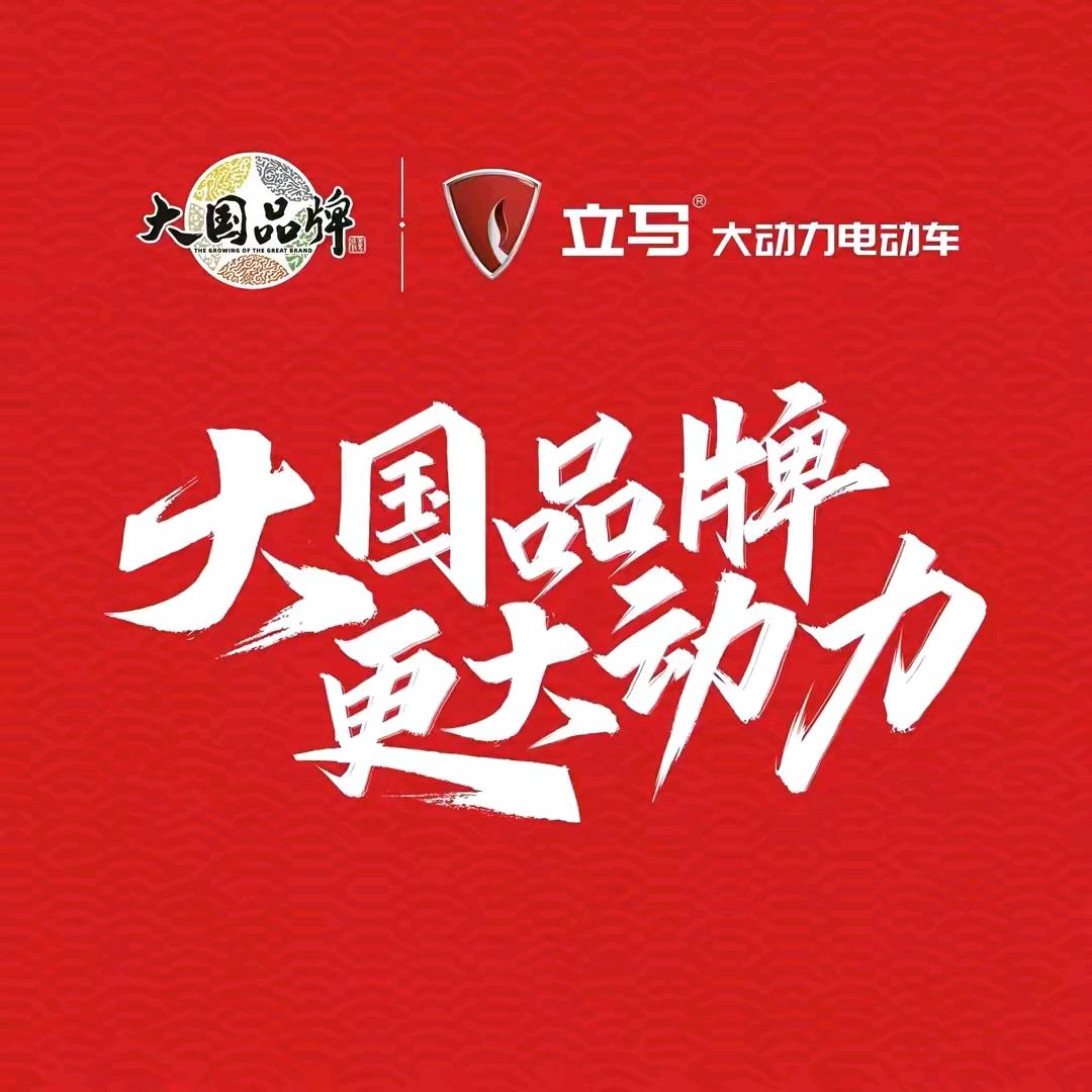 大龙站立马电动车