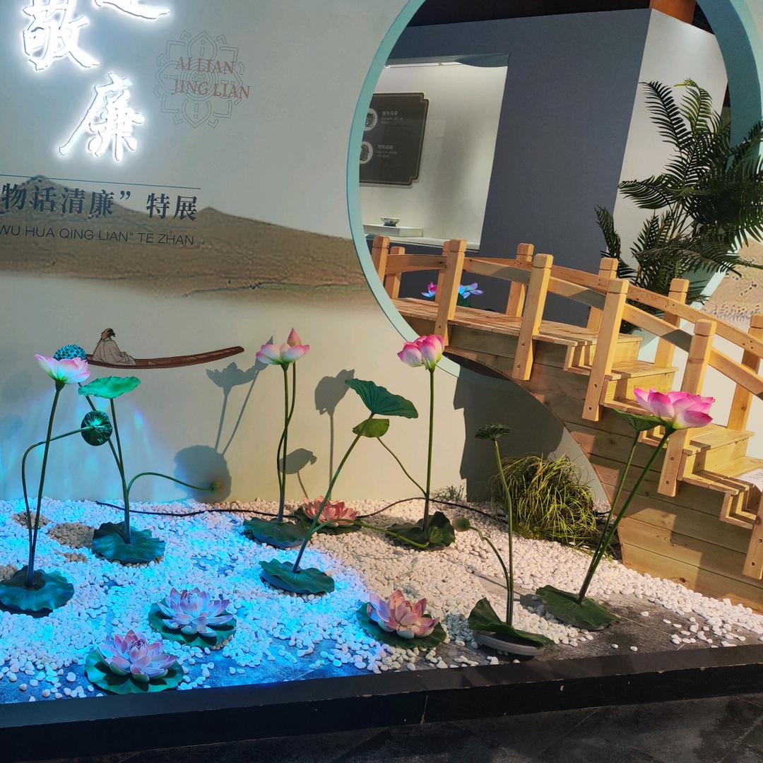 嘟嘟的小屋